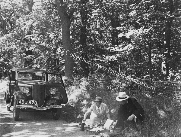 PICNIC IN THE WOODS